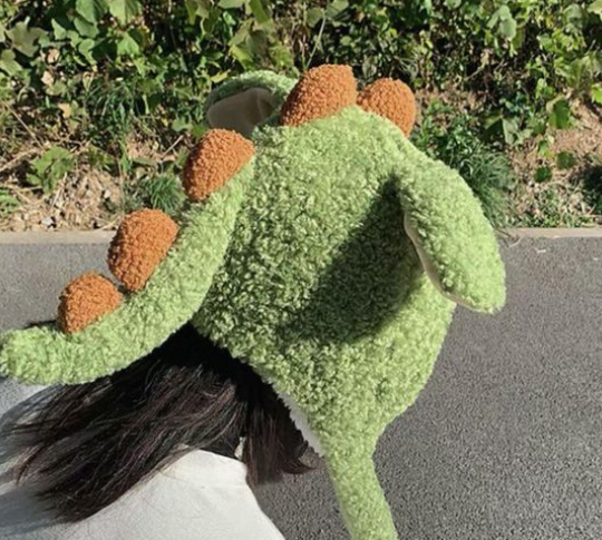 Dinosaur Hat: Make you the Most Handsome Boy on the Street插图1