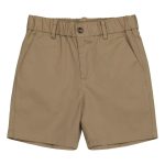 Chino Shorts: Classic Cotton Blend Summer Essentials